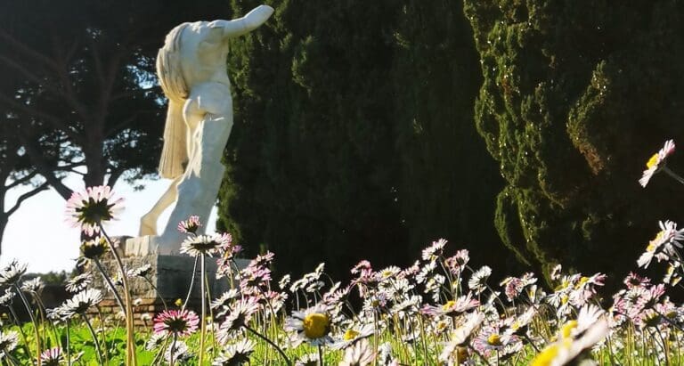 spring flowers dot the ancient ruins of ostia antica