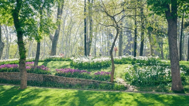 Gülhane Park Istanbul