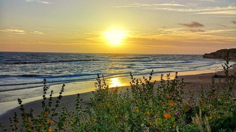 anzio is a great beach choice near rome