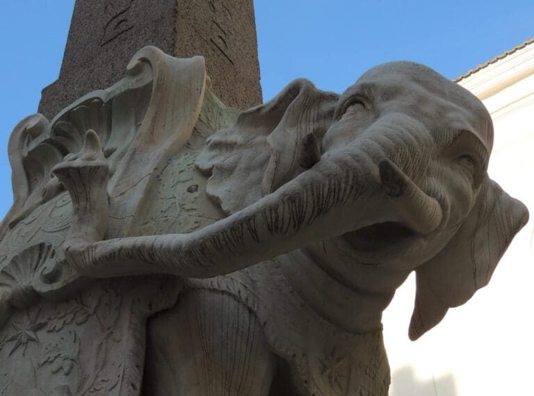 detail of bernini's elephant in piazza minerva