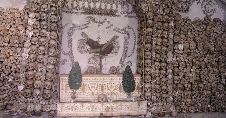 Crest of the Franciscan order showing two arms crossing. The bare arm of Jesus on the cross; the robed arm represents the arm of St. Francis of Assisi. The arms are semi mummified human remains..