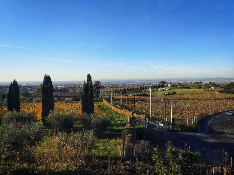 View of the Castelli Romani Countryside