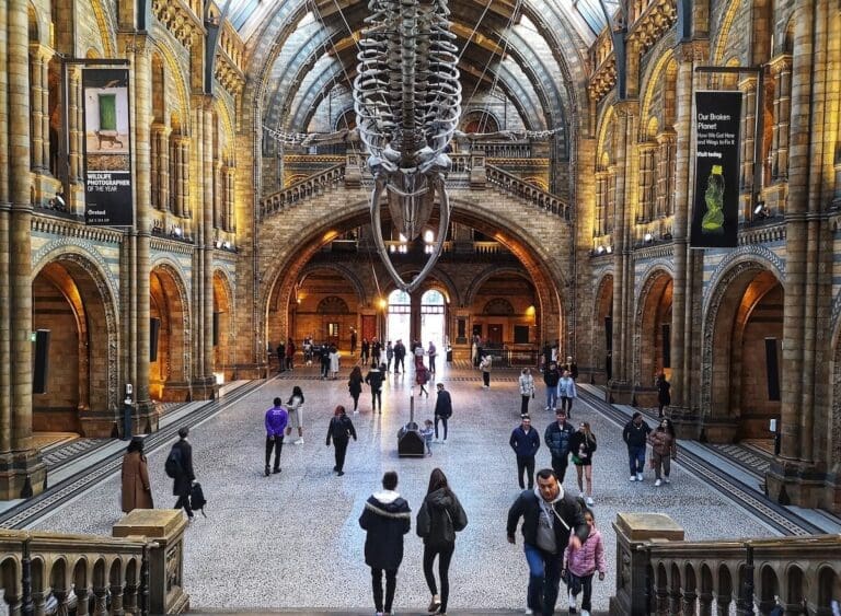 The Natural History Museum