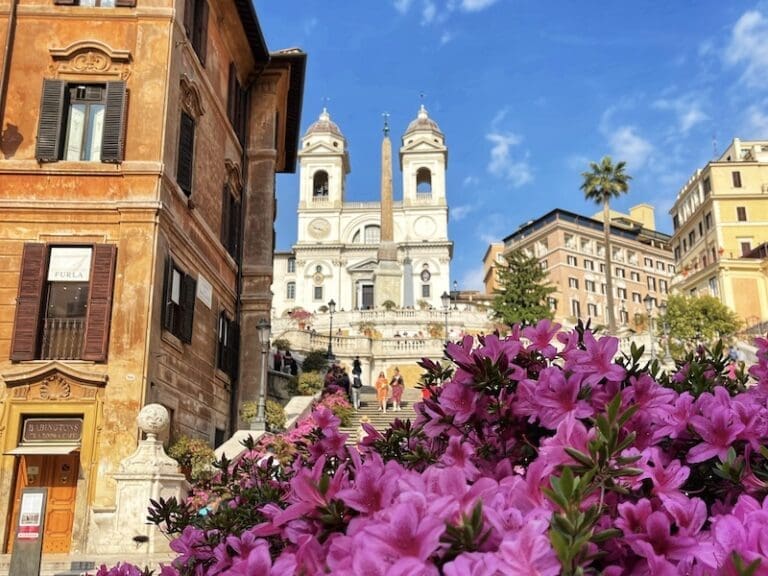 azaleas on the Spanish Steps