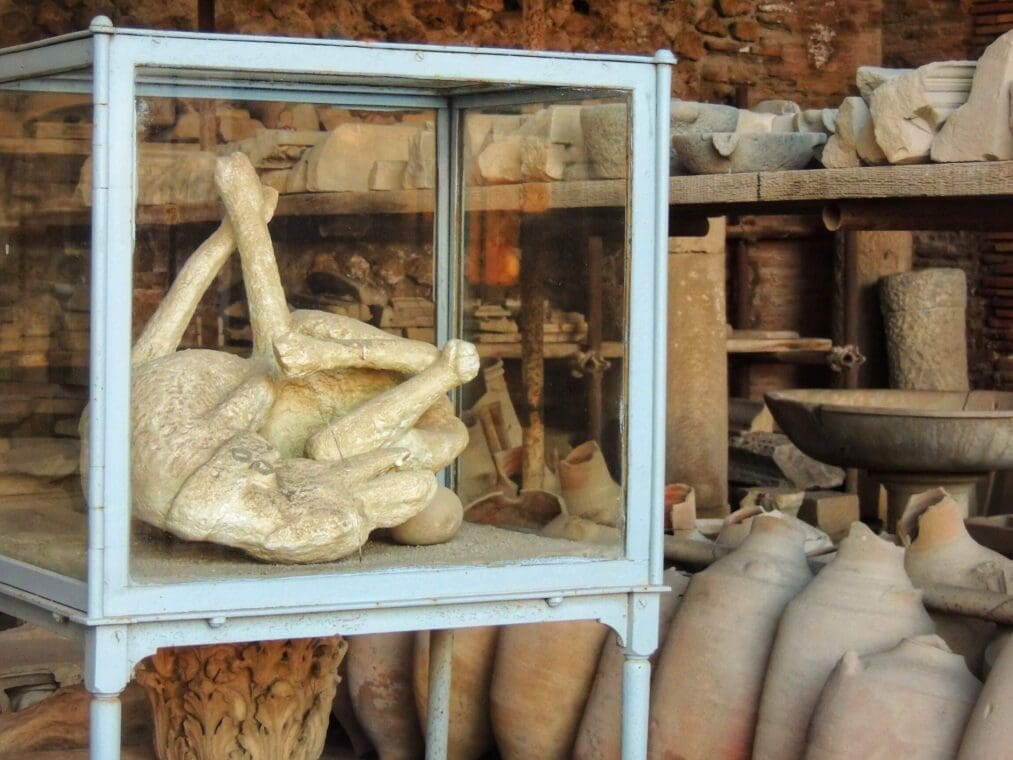 pompeii plaster cast of a dog